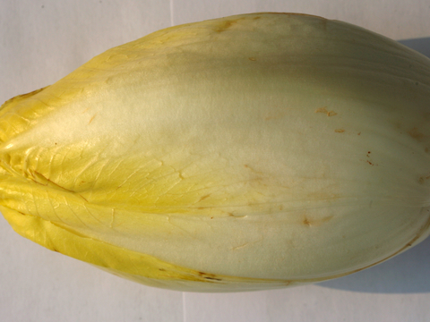  食物 蔬菜 香料 调料 玉米 包菜 辣椒 