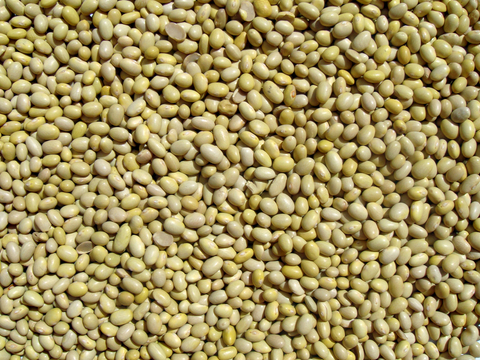  食物 蔬菜 香料 调料 玉米 包菜 辣椒 