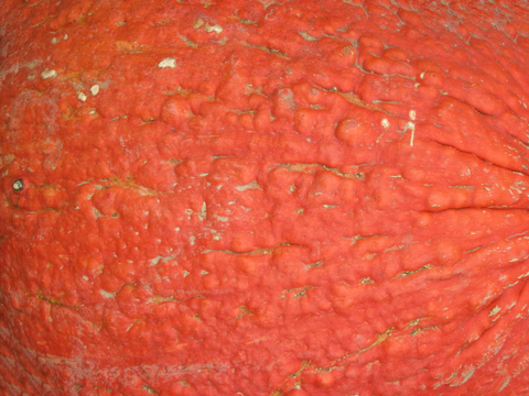  食物 蔬菜 香料 调料 玉米 包菜 辣椒 