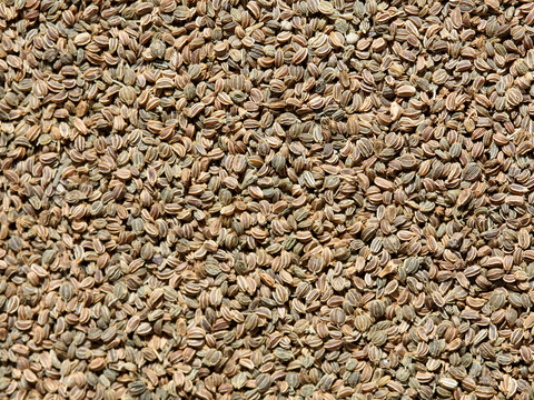  食物 蔬菜 香料 调料 玉米 包菜 辣椒 