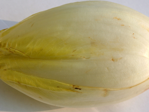  食物 蔬菜 香料 调料 玉米 包菜 辣椒 