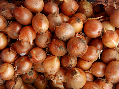 食物 蔬菜 香料 调料 玉米 包菜 辣椒
