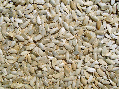 食物 蔬菜 香料 调料 玉米 包菜 辣椒