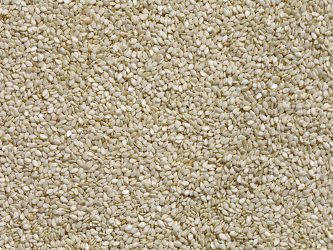  食物 蔬菜 香料 调料 玉米 包菜 辣椒 