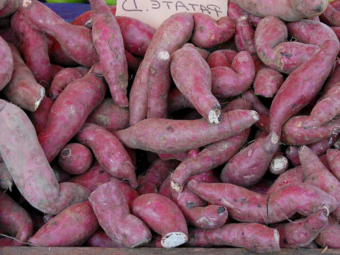  食物 蔬菜 香料 调料 玉米 包菜 辣椒 