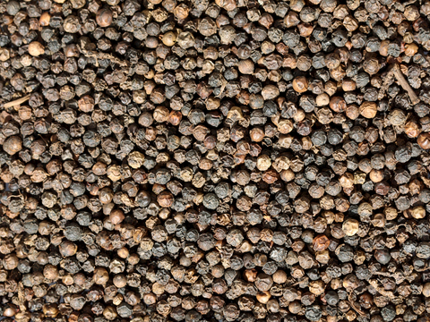  食物 蔬菜 香料 调料 玉米 包菜 辣椒 