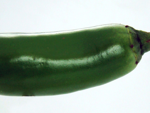  食物 蔬菜 香料 调料 玉米 包菜 辣椒 