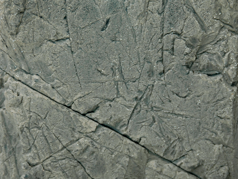  破损破旧塑料橡胶 废弃塑料橡胶 塑料布 轮胎 