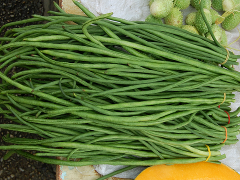  食物 蔬菜 香料 调料 玉米 包菜 辣椒 