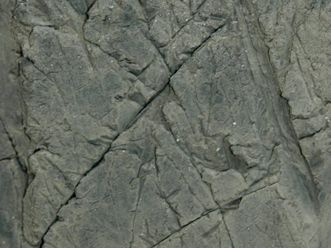  破损破旧塑料橡胶 废弃塑料橡胶 塑料布 轮胎 