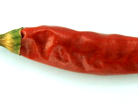  食物 蔬菜 香料 调料 玉米 包菜 辣椒 