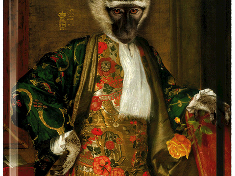 盘子 菜盘 餐盘 古典青花瓷瓷盘图案花纹 陶瓷瓷器花纹