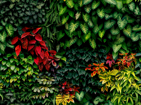 植物墙 绿植 植被 花卉 绿叶背景景墙 装饰墙 植物堆