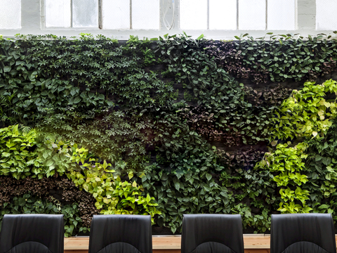  植物墙 绿植 植被 花卉 绿叶背景景墙 装饰墙 植物堆 