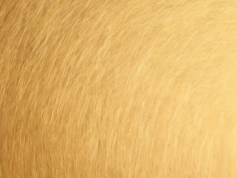 现代轻奢 香槟金拉丝不锈钢 金色不锈钢 古铜色拉丝不锈钢