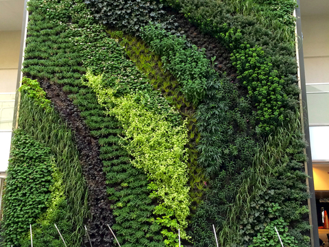  植物墙 绿植 植被 花卉 绿叶背景景墙 装饰墙 植物堆 