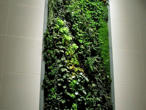 植物墙 绿植 植被 花卉 绿叶背景景墙 装饰墙 植物堆