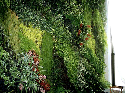  植物墙 绿植 植被 花卉 绿叶背景景墙 装饰墙 植物堆 