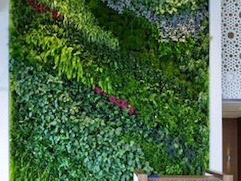 植物墙 绿植 植被 花卉 绿叶背景景墙 装饰墙 植物堆