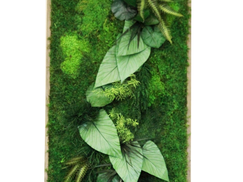 植物墙 绿植 植被 花卉 绿叶背景景墙 装饰墙 植物堆