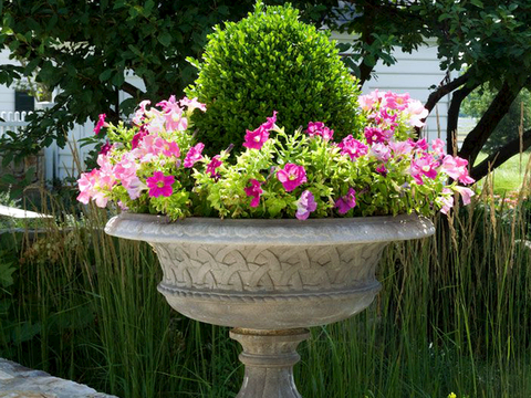 植物墙 绿植 植被 花卉 绿叶背景景墙 装饰墙 植物堆