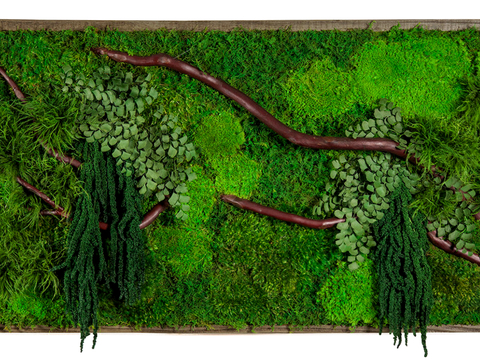 植物墙 绿植 植被 花卉 绿叶背景景墙 装饰墙 植物堆