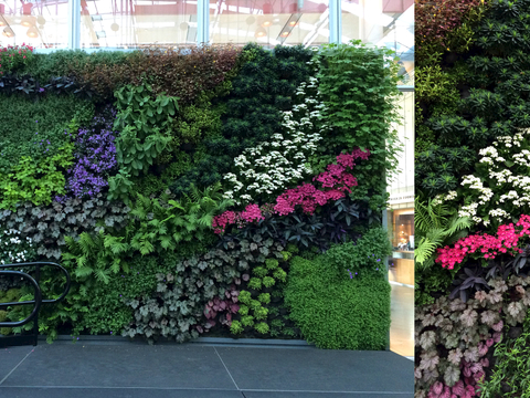  植物墙 绿植 植被 花卉 绿叶背景景墙 装饰墙 植物堆 