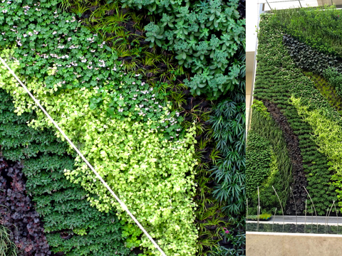 植物墙 绿植 植被 花卉 绿叶背景景墙 装饰墙 植物堆