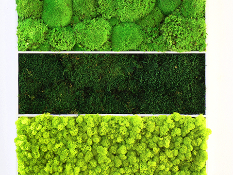 植物墙 绿植 植被 花卉 绿叶背景景墙 装饰墙 植物堆