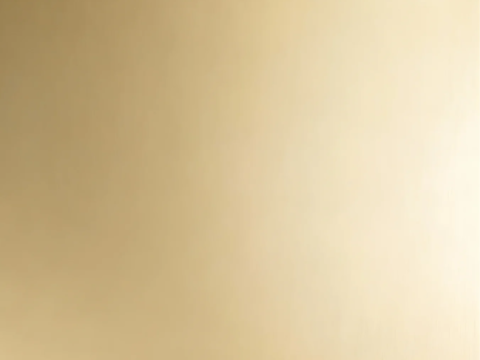 现代轻奢 香槟金喷砂不锈钢 金色不锈钢 古铜色喷砂不锈钢