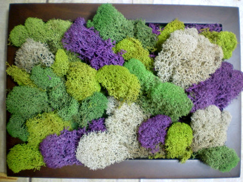 植物墙 绿植 植被 花卉 绿叶背景景墙 装饰墙 植物堆