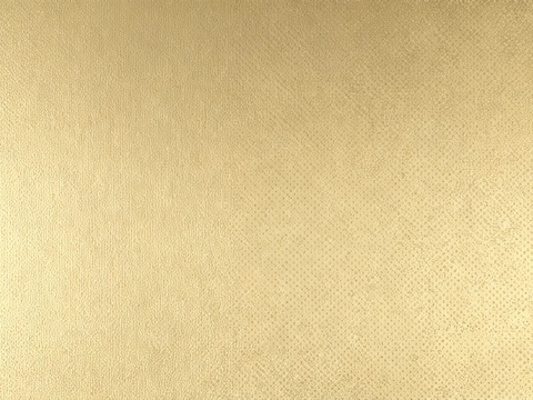 现代轻奢 香槟金凹凸不锈钢金色圆点肌理不锈钢古铜色肌理不锈钢