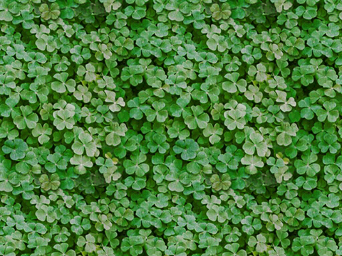  植物墙 绿植 植被 花卉 绿叶背景景墙 装饰墙 植物堆 