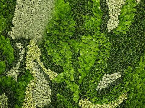  植物墙 绿植 植被 花卉 绿叶背景景墙 装饰墙 植物堆 