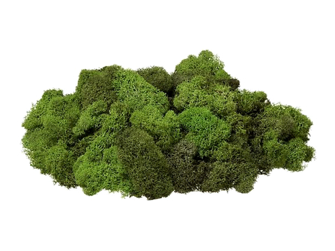 植物墙 绿植 植被 花卉 绿叶背景景墙 装饰墙 植物堆