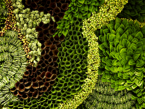 植物墙 绿植 植被 花卉 绿叶背景景墙 装饰墙 植物堆