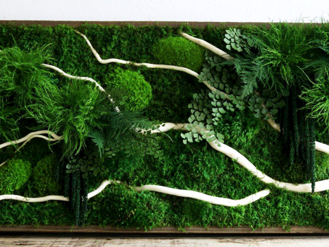 植物墙 绿植 植被 花卉 绿叶背景景墙 装饰墙 植物堆