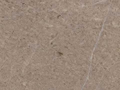 现代简约 中式  清雅棕大理石 棕色大理石瓷砖岩板