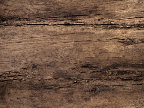 现代无缝树皮纹理古树表皮树木 木材旧木贴图