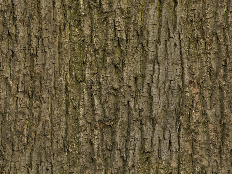 无缝树皮纹理贴图