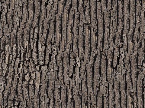 无缝原木树皮真实树皮贴图