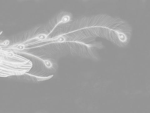 中式新中式羽毛壁纸壁画