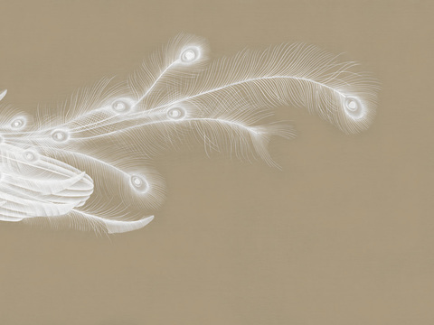 中式新中式羽毛壁纸壁画