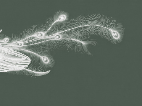 中式新中式羽毛壁纸壁画