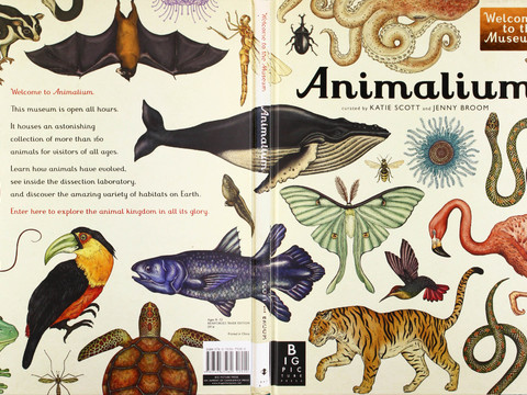 书皮 书本 图书杂志