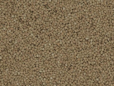 现代砾石地面铺装