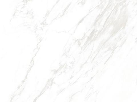 白色大理石 白色奢石 白色瓷砖