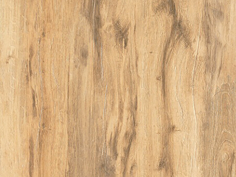 现代无缝树皮纹理古树表皮树木 木材旧木贴图