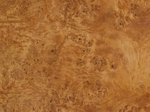 无缝中古树皮树瘤木皮贴图