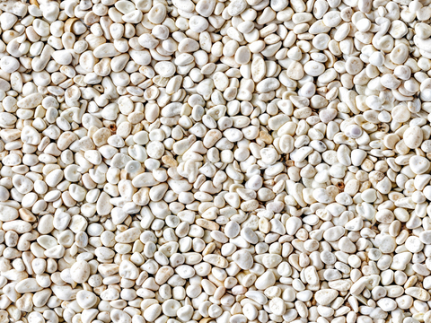 现代新中式无缝暖白色碎石 小碎石 鹅卵石